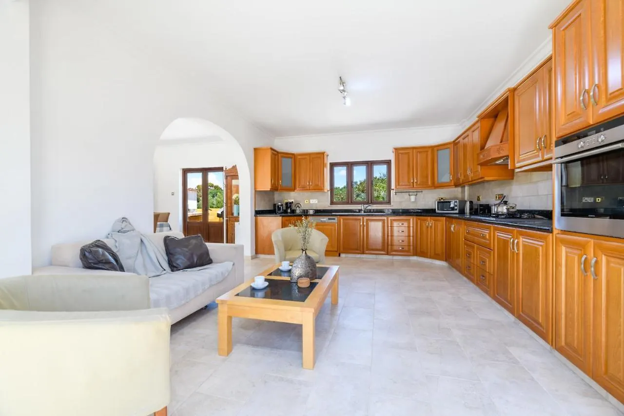 Mersinia Heights Villa Ayia Napa 0*,